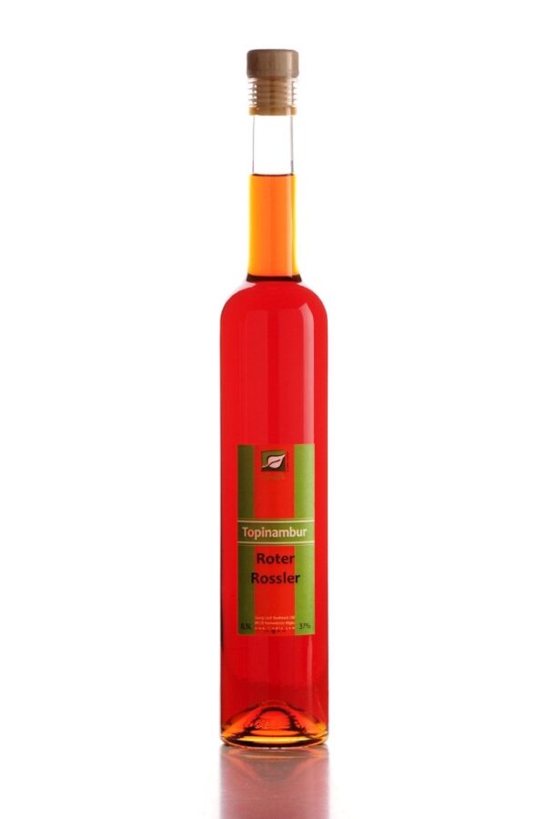 topinambur-roter-rossler-1 topinambur-roter-rossler-der-rote-rossler-ehrlich-tief-und-mit-wurzel